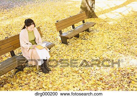 Stock Image - Senior Japanese woman sitting on a bench with a book in a city park in Autumn. Fotosearch