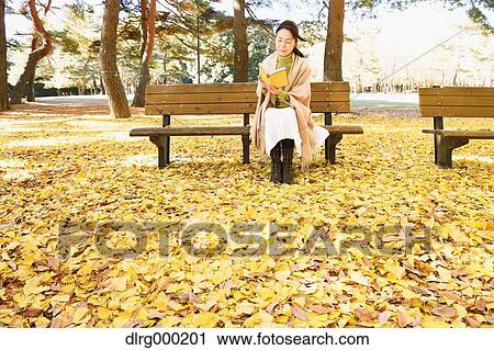Senior Japanese woman sitting on a bench with a book in a city park in Autumn View Large Photo Image Stock Image - Senior Japanese woman sitting on a bench with a book in a city park in Autumn. Fotosearch