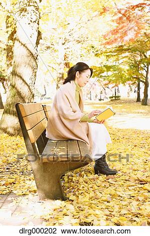 Senior Japanese woman sitting on a bench with a book in a city park in Autumn View Large Photo Image Stock Image - Senior Japanese woman sitting on a bench with a book in a city park in Autumn. Fotosearch