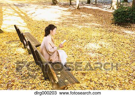 Stock Image - Senior Japanese woman sitting on a bench with a book in a city park in Autumn. Fotosearch