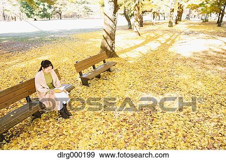 Stock Photo - Senior Japanese woman sitting on a bench with a book in a city park in Autumn. Fotosearch