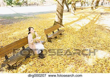 Senior Japanese woman sitting on a bench with a book in a city park in Autumn View Large Photo Image Stock Photo - Senior Japanese woman sitting on a bench with a book in a city park in Autumn. Fotosearch