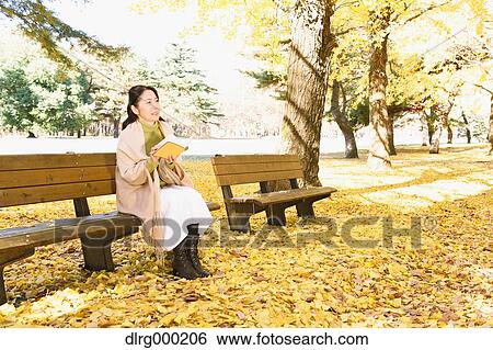 Senior Japanese woman sitting on a bench with a book in a city park in Autumn View Large Photo Image Stock Photograph - Senior Japanese woman sitting on a bench with a book in a city park in Autumn. Fotosearch