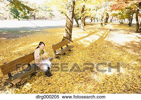 Stock Photography - Senior Japanese woman sitting on a bench with a book in a city park in Autumn. Fotosearch