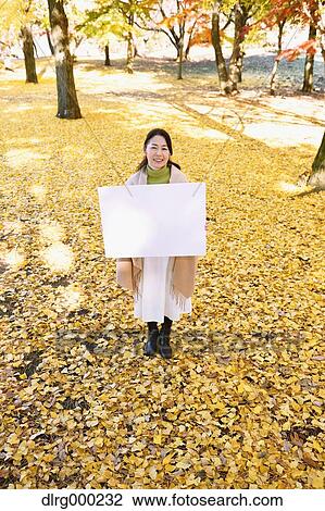 Senior Japanese woman with whiteboard in a city park in Autumn View Large Photo Image Stock Image - Senior Japanese woman with whiteboard in a city park in Autumn. Fotosearch