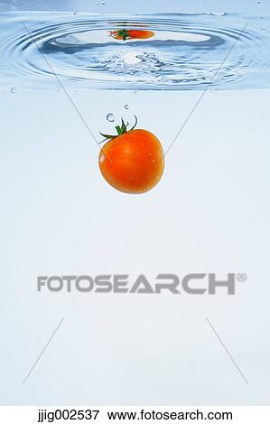 Tomato in water View Large Photo Image Stock Photo - Tomato in water. Fotosearch