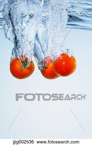 Tomatoes in water View Large Photo Image Stock Photograph - Tomatoes in water. Fotosearch