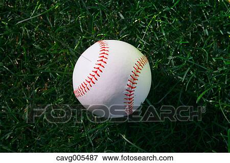 Baseball ball on grass View Large Photo Image Stock Photo - Baseball ball on grass. Fotosearch