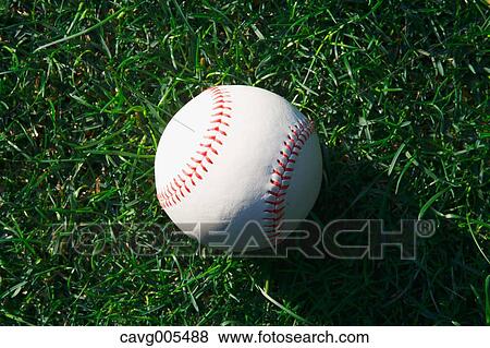 Baseball ball on grass View Large Photo Image Stock Photo - Baseball ball on grass. Fotosearch