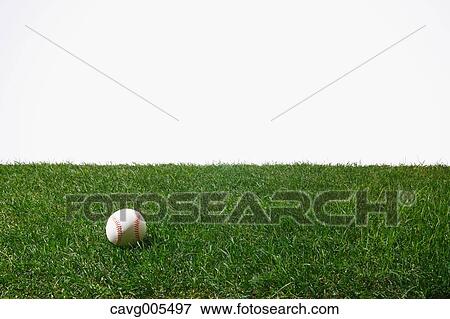 Baseball ball on grass View Large Photo Image Stock Photo - Baseball ball on grass. Fotosearch