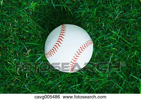 Baseball ball on grass View Large Photo Image Stock Photograph - Baseball ball on grass. Fotosearch
