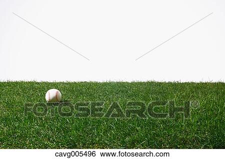 Baseball ball on grass View Large Photo Image Stock Photograph - Baseball ball on grass. Fotosearch