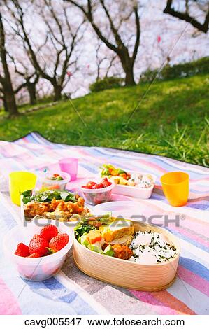 Bento under the cherry blossoms View Large Photo Image Stock Photo - Bento under the cherry blossoms. Fotosearch