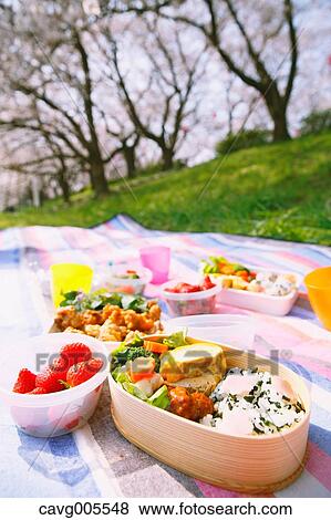 Bento under the cherry blossoms View Large Photo Image Stock Photo - Bento under the cherry blossoms. Fotosearch