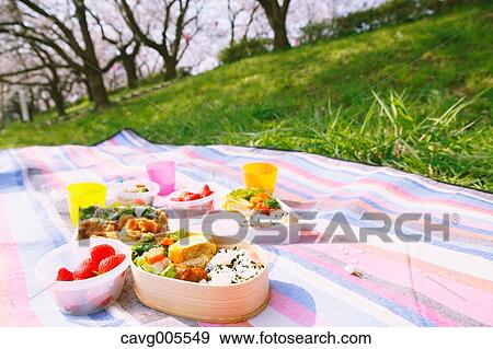 Bento under the cherry blossoms View Large Photo Image Stock Photo - Bento under the cherry blossoms. Fotosearch