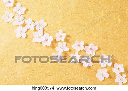 Cherry blossoms on paper View Large Photo Image Picture - Cherry blossoms on paper. Fotosearch