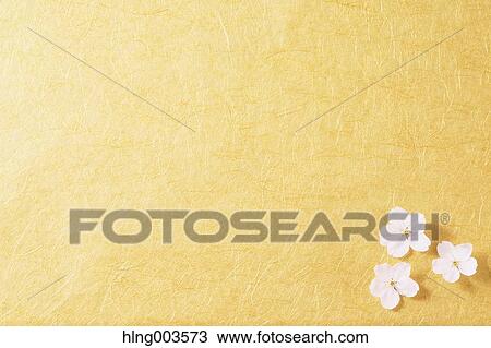 Cherry blossoms on paper View Large Photo Image Stock Image - Cherry blossoms on paper. Fotosearch