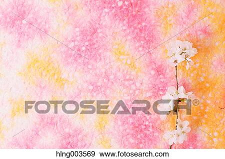 Cherry blossoms on paper View Large Photo Image Stock Photo - Cherry blossoms on paper. Fotosearch