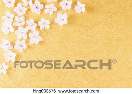 Cherry blossoms on paper View Large Photo Image Stock Photograph - Cherry blossoms on paper. Fotosearch