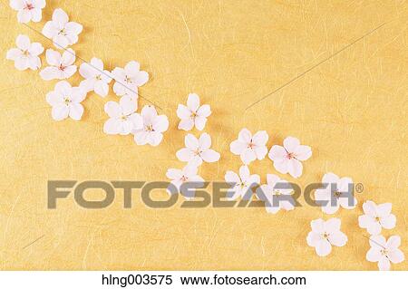Cherry blossoms on paper View Large Photo Image Stock Photography - Cherry blossoms on paper. Fotosearch