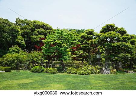 Stock Image - City park. Fotosearch