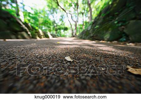 City park View Large Photo Image Stock Photo - City park. Fotosearch