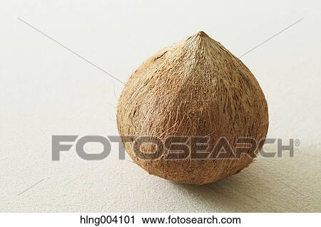 Stock Image - Coconut. Fotosearch