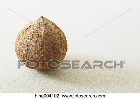 Coconut View Large Photo Image Stock Image - Coconut. Fotosearch