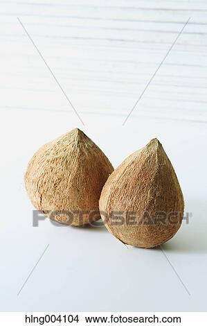 Picture - Coconuts. Fotosearch