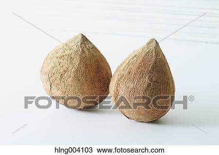 Stock Image - Coconuts. Fotosearch
