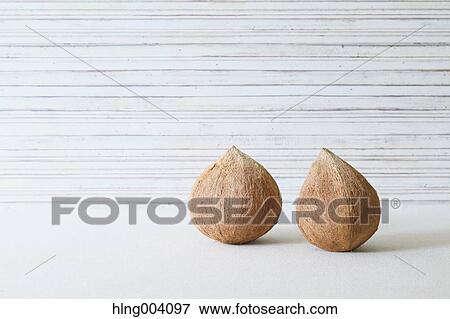 Stock Photo - Coconuts. Fotosearch