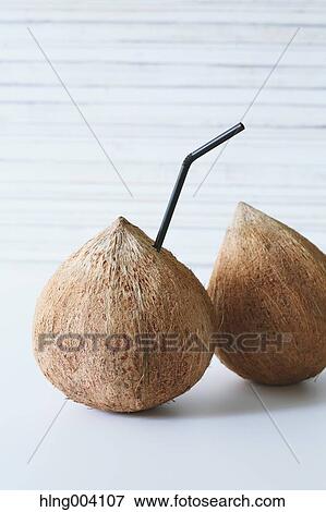 Coconuts View Large Photo Image Stock Photo - Coconuts. Fotosearch