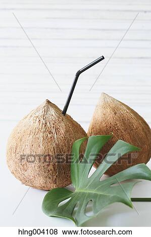 Coconuts View Large Photo Image Stock Photo - Coconuts. Fotosearch