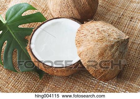 Stock Photography - Coconuts. Fotosearch