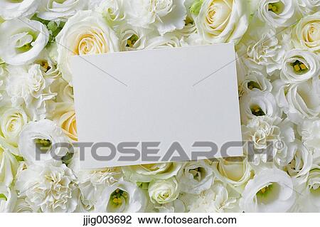 Flower bouquet View Large Photo Image Stock Image - Flower bouquet. Fotosearch
