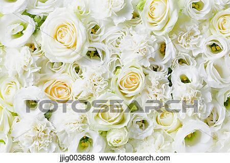 Flower bouquet View Large Photo Image Stock Photo - Flower bouquet. Fotosearch