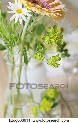 Flowers View Large Photo Image Stock Image - Flowers. Fotosearch