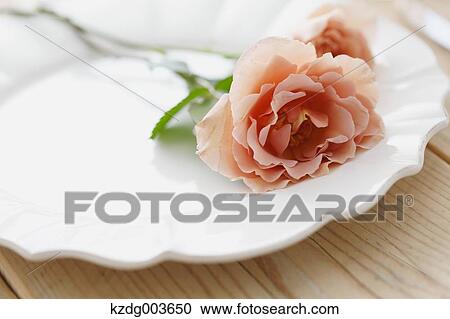 Flowers View Large Photo Image Stock Image - Flowers. Fotosearch