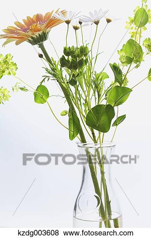 Stock Photo - Flowers. Fotosearch