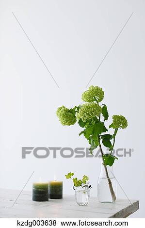 Stock Photo - Flowers. Fotosearch
