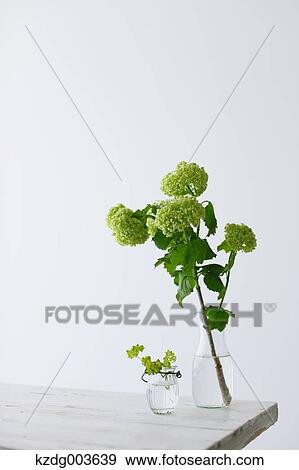 Flowers View Large Photo Image Stock Photo - Flowers. Fotosearch