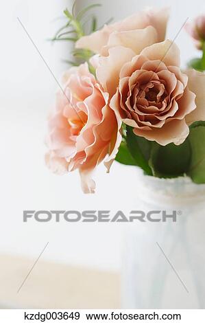 Flowers View Large Photo Image Stock Photo - Flowers. Fotosearch
