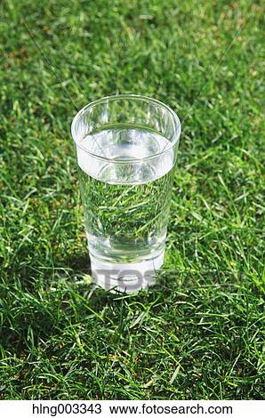 Glass of water on grass View Large Photo Image Stock Image - Glass of water on grass. Fotosearch