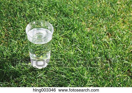 Glass of water on grass View Large Photo Image Stock Photograph - Glass of water on grass. Fotosearch