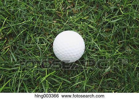 Golf ball on grass View Large Photo Image Stock Photograph - Golf ball on grass. Fotosearch