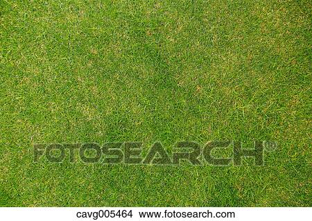 Grassland View Large Photo Image Picture - Grassland. Fotosearch