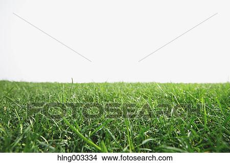 Grassland View Large Photo Image Picture - Grassland. Fotosearch