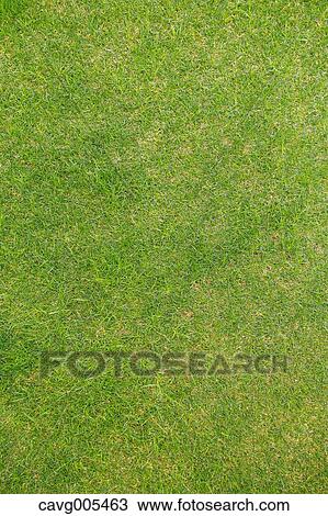 Grassland View Large Photo Image Stock Image - Grassland. Fotosearch