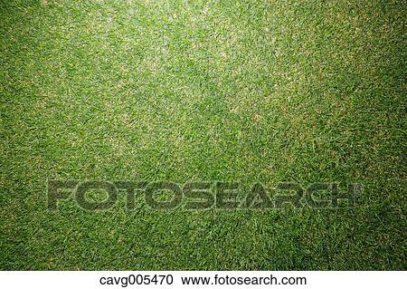 Grassland View Large Photo Image Stock Image - Grassland. Fotosearch