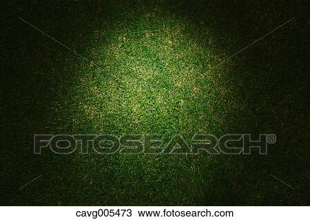 Grassland View Large Photo Image Stock Image - Grassland. Fotosearch